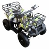 ATV electric ZY1020 Extreme  - 2