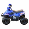 ATV pe benzină 110 CC Albastru  - 4