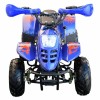 ATV pe benzină 110 CC Albastru  - 2