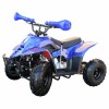 ATV pe benzină 110 CC Albastru  - 1