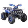 ATV pe benzină Hunter 125CC, Blue  - 2