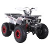 ATV pe benzină Hunter 125CC, White  - 2