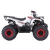 ATV pe benzină Hunter 125CC, White  - 4